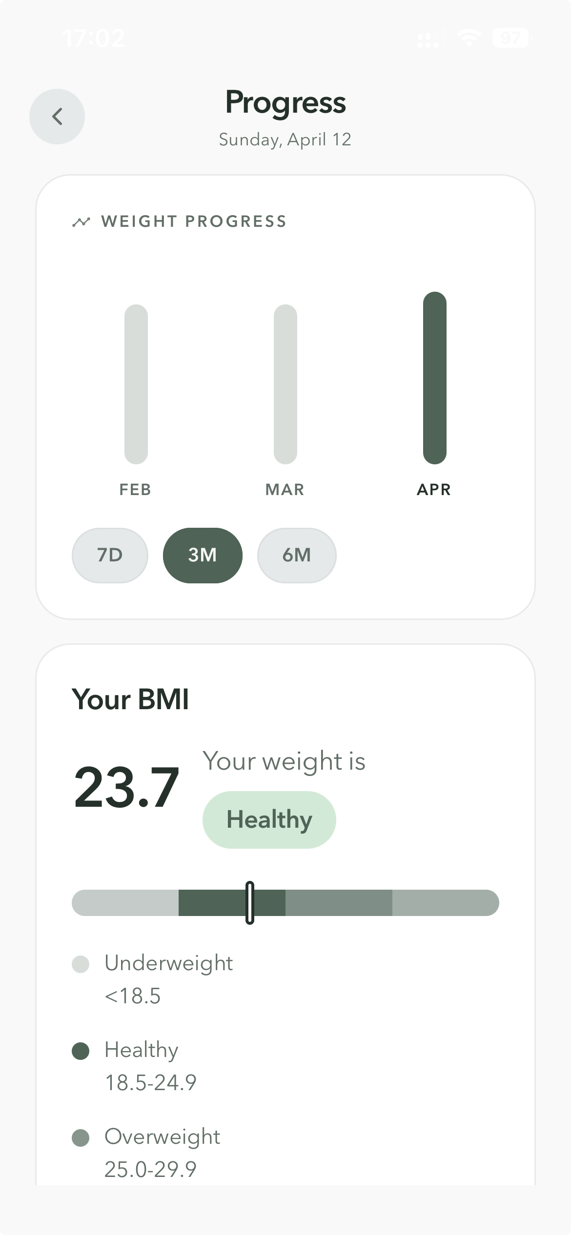 MagicBite BMI and chart detail screen